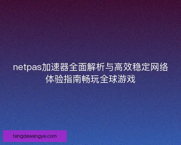 netpas加速器全面解析与高效稳定网络体验指南畅玩全球游戏