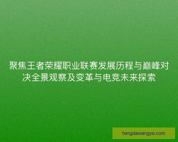 聚焦王者荣耀职业联赛发展历程与巅峰对决全景观察及变革与电竞未来探索